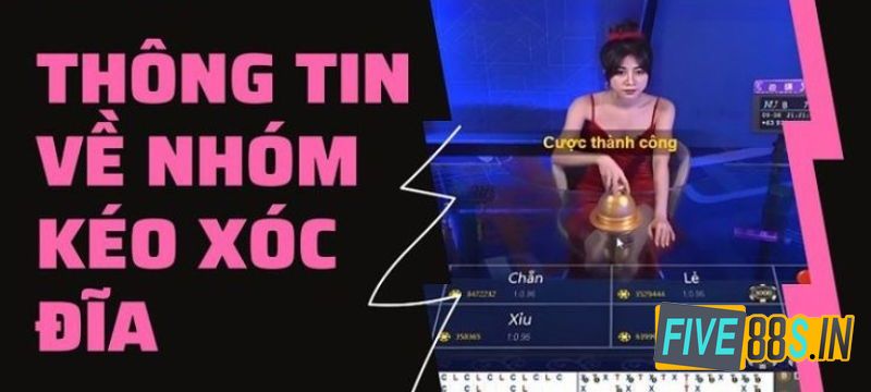 Giới thiệu cơ bản về nhóm kéo xóc đĩa được nhiều người quan tâm